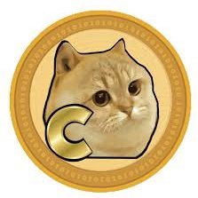 korean cat